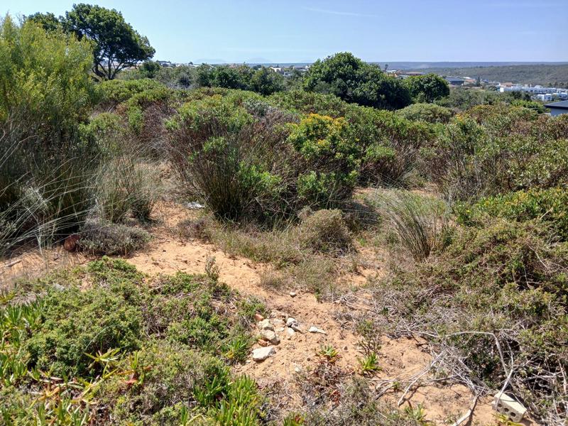 0 Bedroom Property for Sale in Stilbaai Wes Western Cape